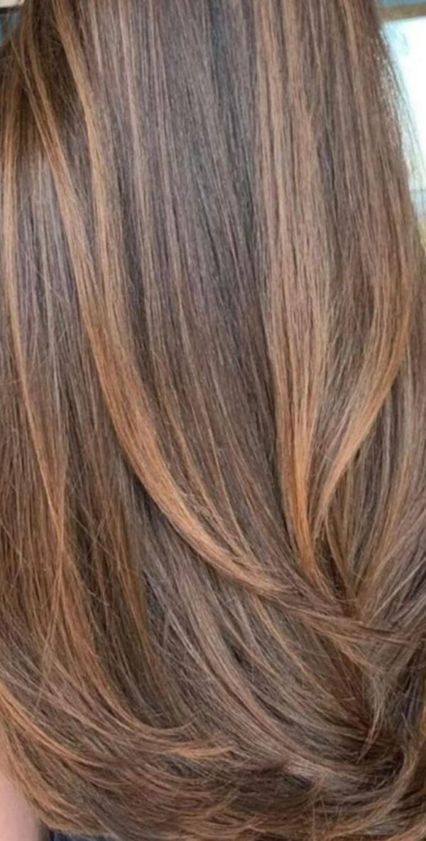 Custom Brown With Caramel Highlights